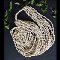 Tulsi long product 1