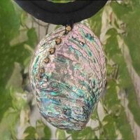 abalalone shell pendant